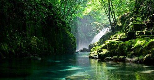 #巨蟹座#4号开始，霉运远离，鸿运当头，横财追着跑，大富大贵的3生肖