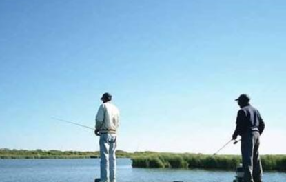 水库|老钓手总结的台钓技巧，在中小水库钓滑鱼——盛世三渔