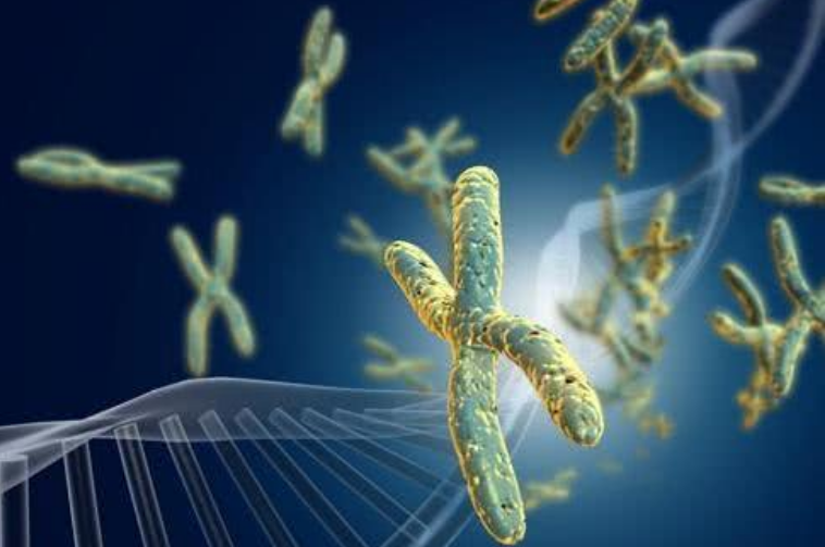 科学家|人类的极限寿命是多少岁？科学家通过基因研究，终于给出答案