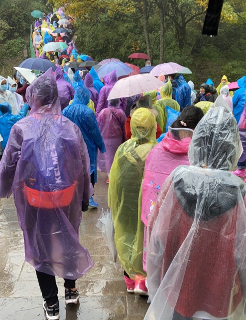 游山川|国庆黄山实拍：风雨交加人山人海，游客崩溃想回家却进退两难