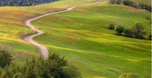 「生肖」6月8号开始，天天数钞票，横财一发再发，金银堆满屋的3大生肖