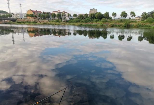 水库|黑坑收费高、规则又苛刻，为啥钓鱼人反而越来越多？