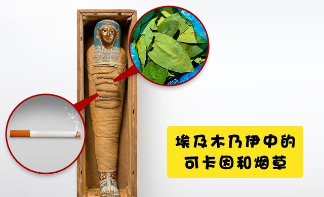 #科学家#多年来一直困扰着科学家的8个神秘事物