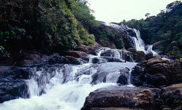 「生肖」熬过大难！31号开始，财运紫气东来，一顺百顺，大富特富的3生肖