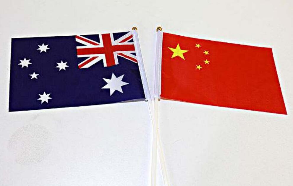 澳大利亚|不用再对华限制出口了,澳大利亚牛奶巨头破产!