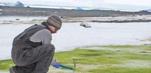 南极■地球环境岌岌可危，南极又传出坏消息，连太空上都能看得见！