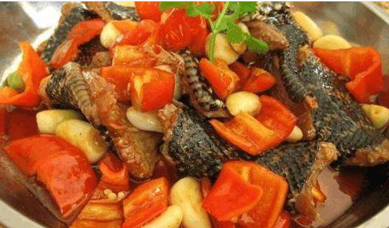 蜜獾▲蛇类的10大天敌: 平头哥仅排第3，榜首众望所归