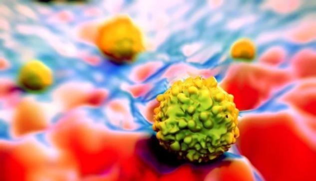 癌细胞|冠状病毒这么“厉害”，能不能杀癌细胞？看看显微镜下的真相