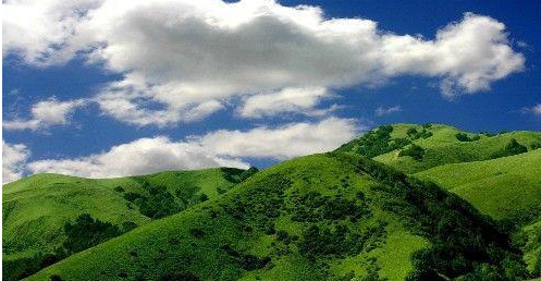 #运势#6月3号开始，财运鲤鱼跃龙门，一飞冲天，钞票如雨的3大生肖