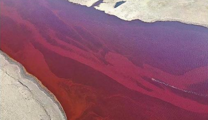 「科学家」?世界进入紧急状态!2万吨柴油泄漏,科学家:俄罗斯大事不妙!