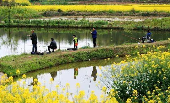 |这5种情况鱼不会咬钩，逢钓必空军，快点避开这些误区