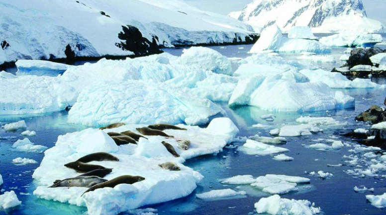 科学家@全球气候发生巨变，地球末日不远了？科学家：一切都来得太快！