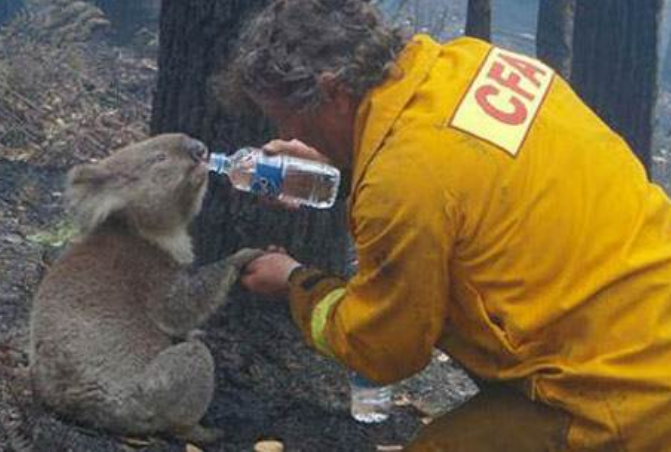 「大地震」5月迎来全球第一个大地震,等级高达7.2,地球是不是生病了?