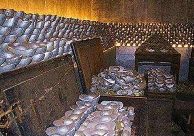 国家金库|清朝灭亡后,袁世凯打开国库大门时惊了,里面还剩下多少钱?