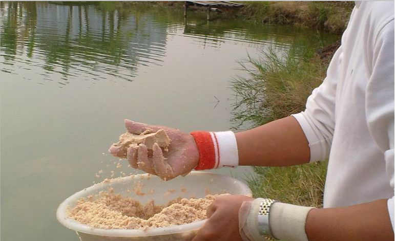 「」初春钓肥水，饵料味型还得这样选——盛世三渔