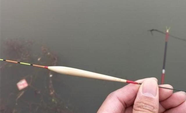 饵料：说了你可能不信，这才是“对付”鲢鳙鱼的最佳钓法，一般人学不来