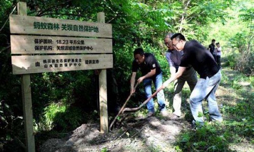 马云|叹英雄抵不过时光变白头，外媒问为何不享受？马云的回答令人佩服