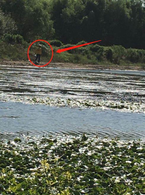 杭州|杭州男子郊外钓鱼点外卖，外卖小哥赶到河边后：人呢？