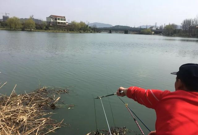 饵料|钓鱼并非不务正业，许多人通过钓鱼赚了钱，大师们则名利双收