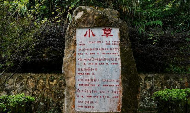 麻栗坡▲这里同越南打了十年,10个集团军上阵,你可知道最后疆界如何划分