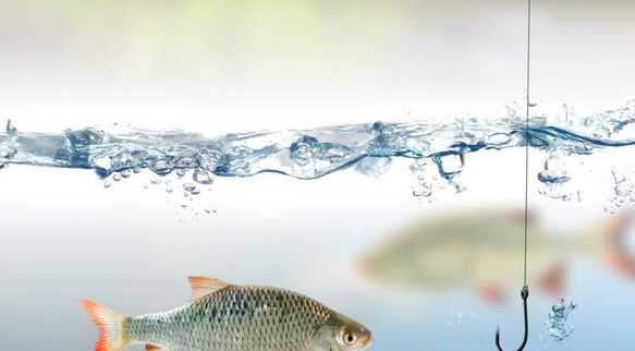 【饵料】夏季野钓,又有几招教你快速钓获大板鲫