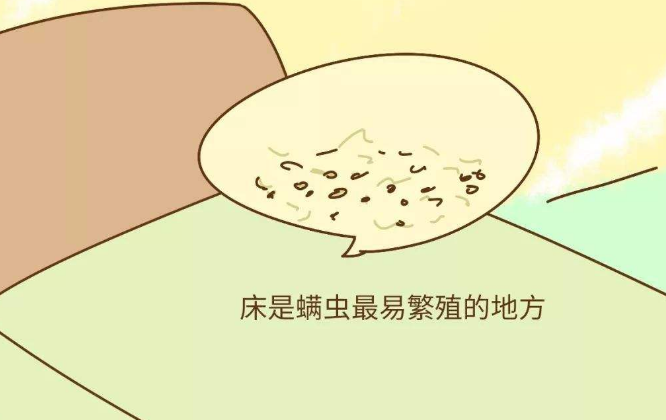 螨虫|入秋后家里螨虫成灾，螨虫天敌卧室放一晚，螨虫寸草不生！