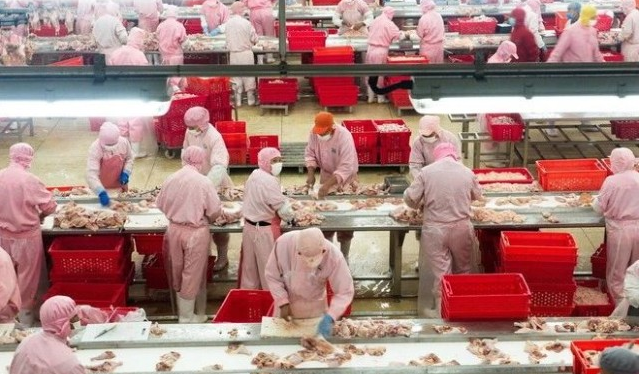 圣农发展|跟牧原股份一样牛，下一个十倍股就是它！