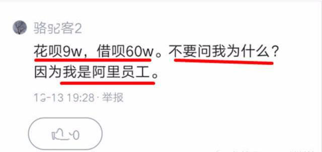 蚂蚁花呗■某网友：花呗9万，借呗60万，厉害？网友怒怂：还不是沾公司的光