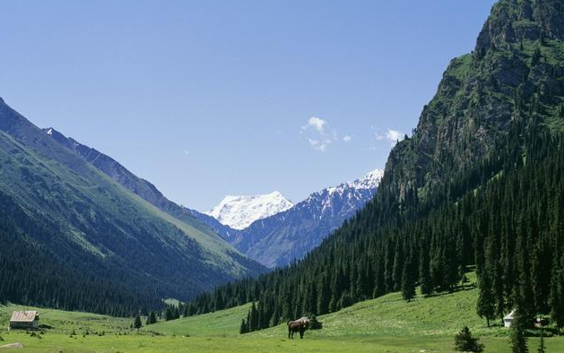「属鸡」5月28日开始，观音送子，添丁添财，福运亨通，有望心想事成3生肖
