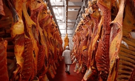 #澳大利亚#牛肉腐烂！澳洲损失350亿出口大单，澳方：希望中方帮忙解决