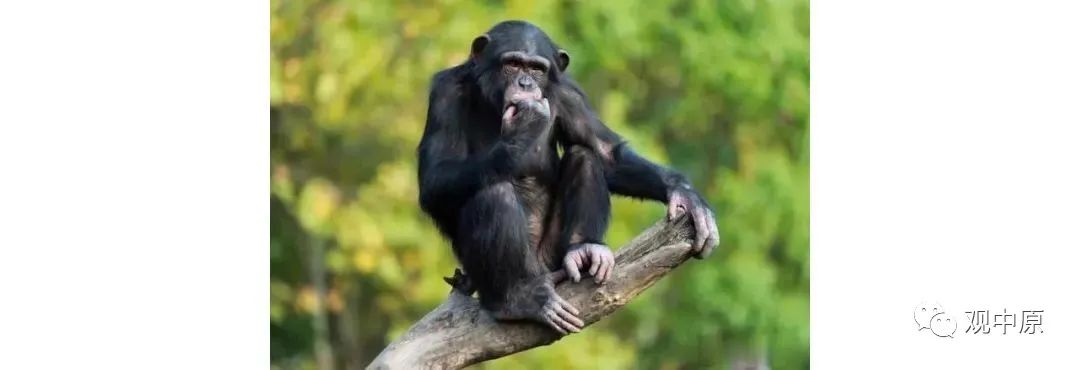 外星人|进化论绕不过去的常识