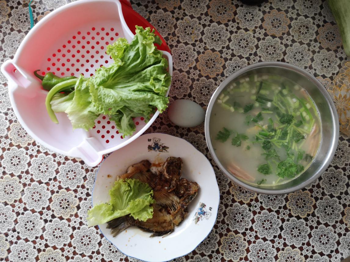 |初秋钓大鲫，揭秘老渔人的必杀技