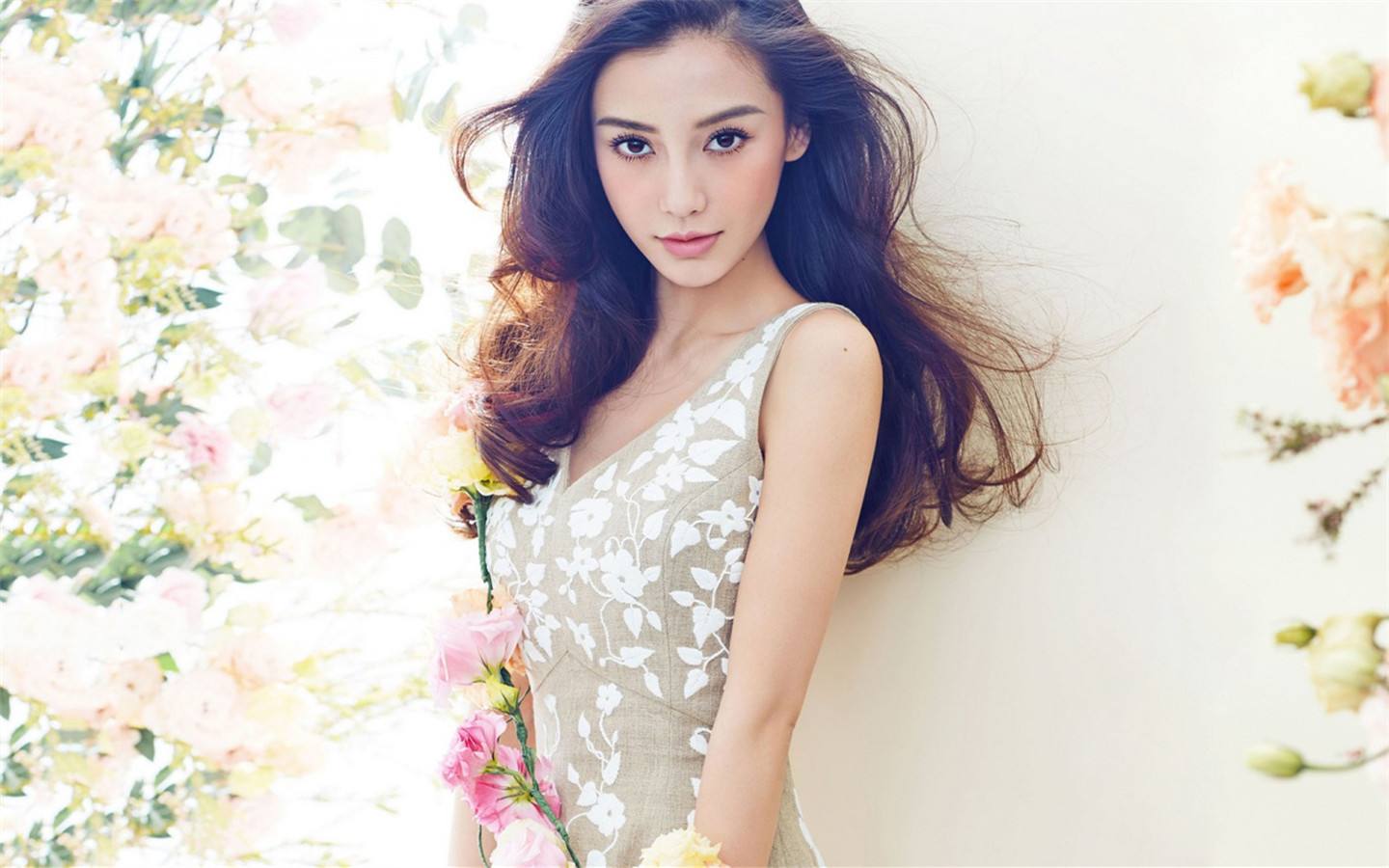 Angelababy|盘点粉丝量破亿的四位明星:前三位靠实力,只有她靠颜值