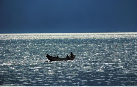 交易|股票卖了就涨，买了就跌！被大数据针对的你如何破局？