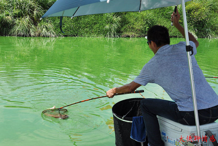 泥鳅|钓鱼，我们钓的不是鱼，是命运钓我们！