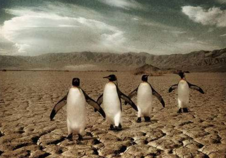 「科学家」不能昭然皆知的3个地球真相,最后1个隐藏人类结局,让人惶恐!