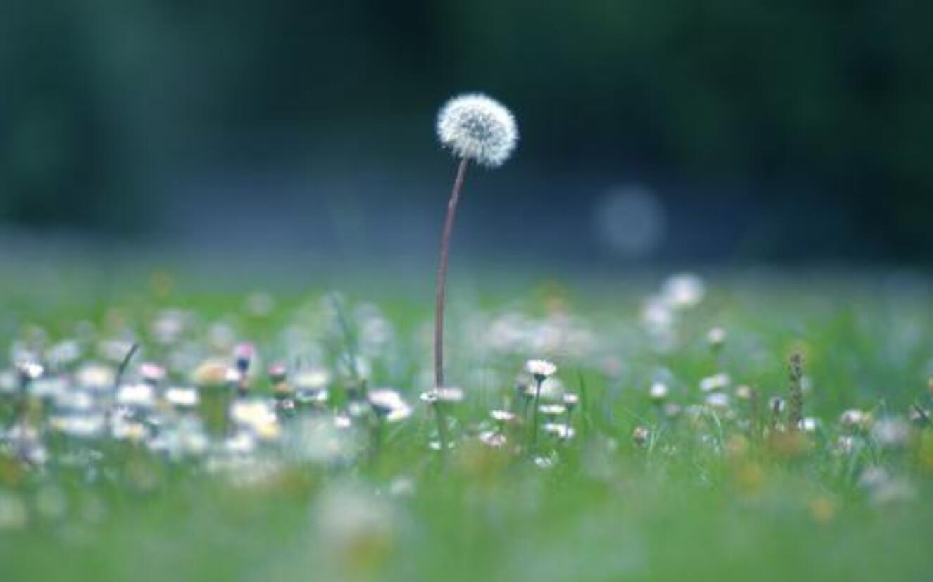 生肖|一周后,兜兜转转,他未娶,你未嫁,3星座邂逅旧爱,余生执手天涯