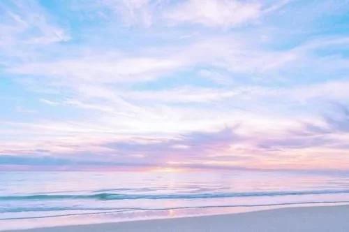 吸尘器|网抑云系类大赏01