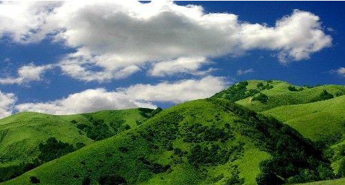 「金牛座」添喜添财，6月2号开始，有贵人扶持，喜事不断的3大生肖