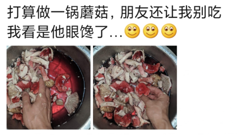 蘑菇|“打算炖一锅蘑菇犒劳自己，朋友还劝我别吃，我看是他眼馋了...”