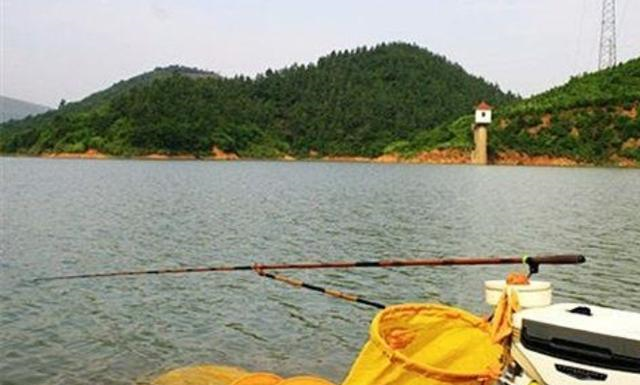 『』夏天热，我只想用这套一试就灵的钓法，不吹不黑，隔三五天就想钓