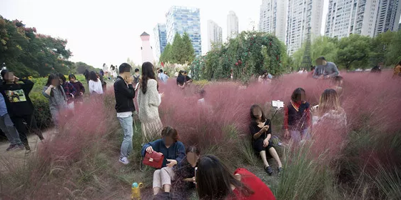 大理|又一网红景点被毁：对不起，你配不上朋友圈晒出来的美景！