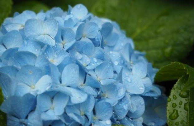 生肖▲一夜暴富！3大生肖，在5月份开始，财神庇佑，顺风顺水