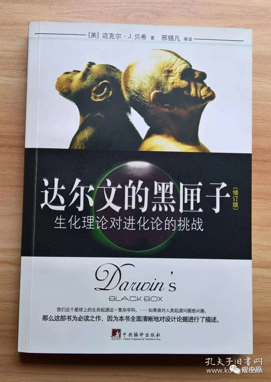 外星人|进化论绕不过去的常识