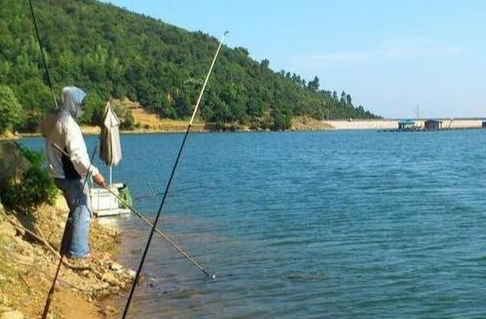 |渔人必看：高温季节鱼上浮，钓鱼老司机教你夏季如何钓浮！