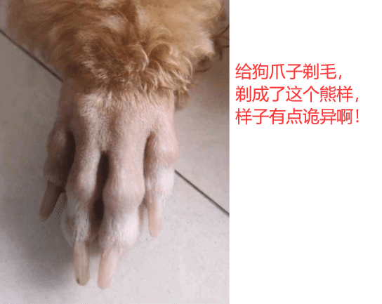 |美女这面拉得真细，一定很好吃吧！哈哈哈哈