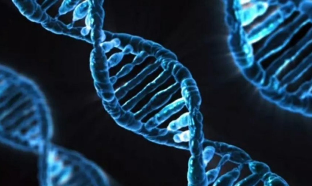 「科学家」人类是被设计出来的?科学家在人类DNA中,发现“造物者”痕迹!