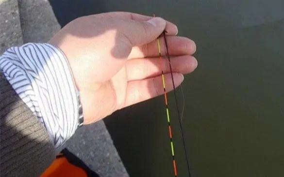 酷热|秋初白天气温酷热难挡 新手夜钓该注意些什么呢