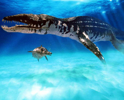 鱼离开水，是缺水被干死的？还是缺氧憋死的？看似简单的问题，答案却很不简单！