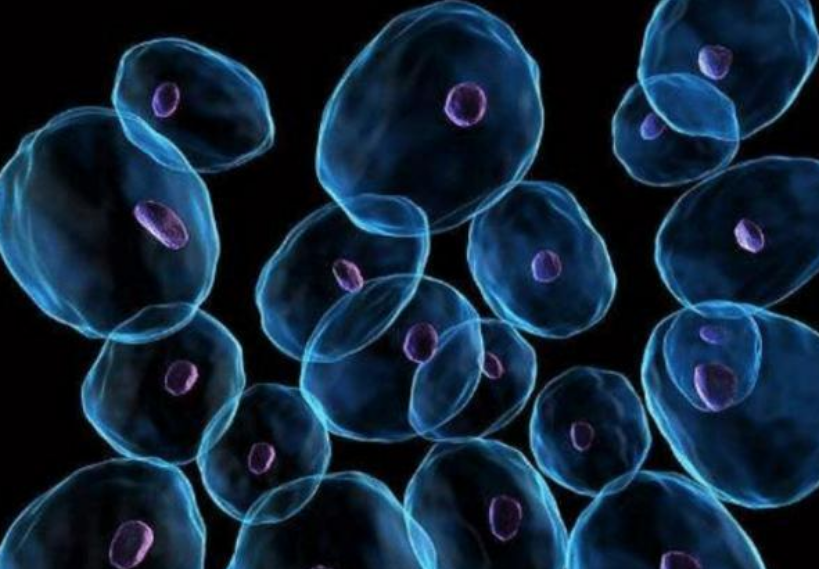 科学家|科学家将细胞放大到5000倍，人们醒悟：原来这句话不无道理！